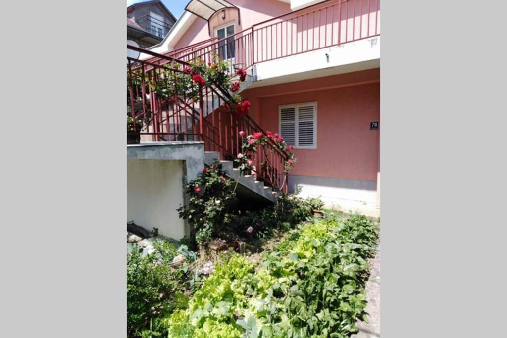 Apartman Danica Herceg Novi Exteriör bild